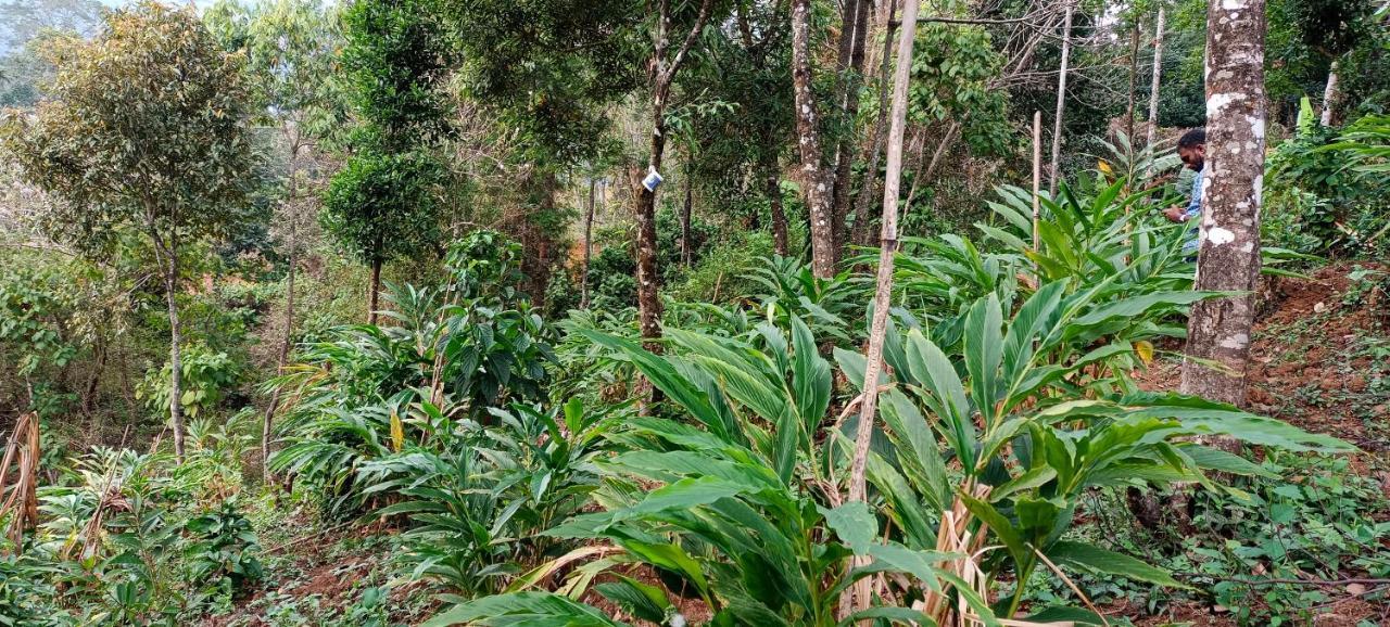 Munnar Tent Hills Resort Devikolam Exterior photo